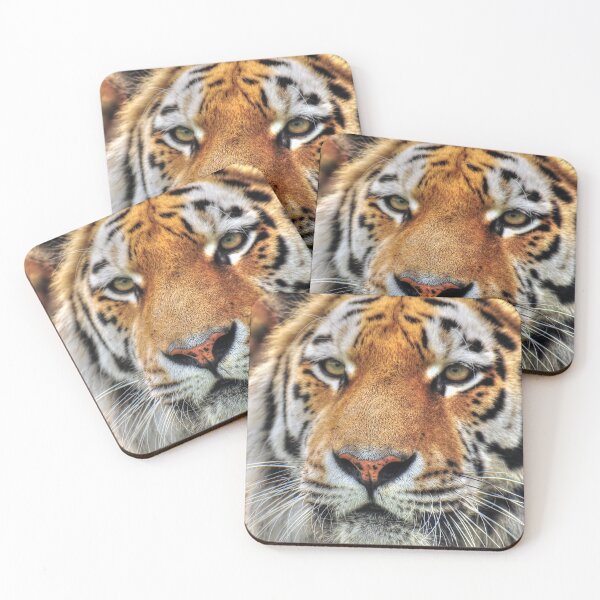 Item preview, Amur Tiger - Amasia designed and sold by SusiSu72.