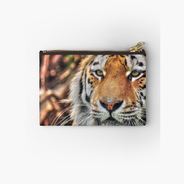 Item preview, Amur Tiger - Amasia designed and sold by SusiSu72.