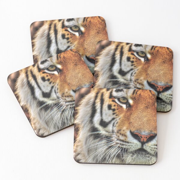 Item preview, Amur Tiger - Amasia designed and sold by SusiSu72.