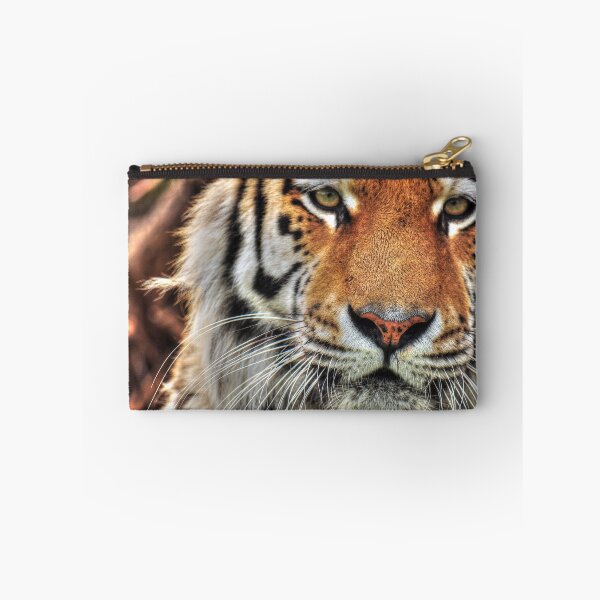 Item preview, Amur Tiger - Amasia designed and sold by SusiSu72.