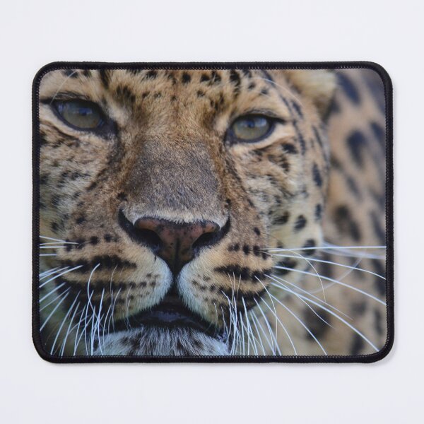 Item preview, Amur Leopard - Artur designed and sold by SusiSu72.
