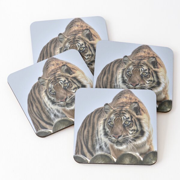 Item preview, Sumatran Tiger - Puna designed and sold by SusiSu72.