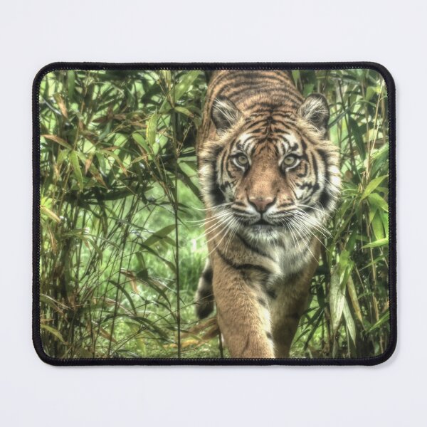 Item preview, Sumatran Tiger - Puna designed and sold by SusiSu72.