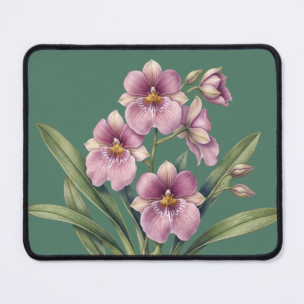 Item preview, Miltoniopsis Vexillaria Print: The Dysentery Orchid designed and sold by FreiherrPK.