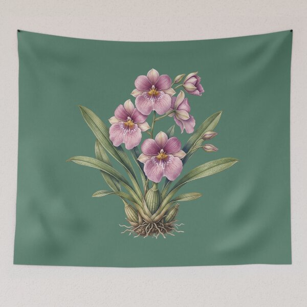 Item preview, Miltoniopsis Vexillaria Print: The Dysentery Orchid designed and sold by FreiherrPK.