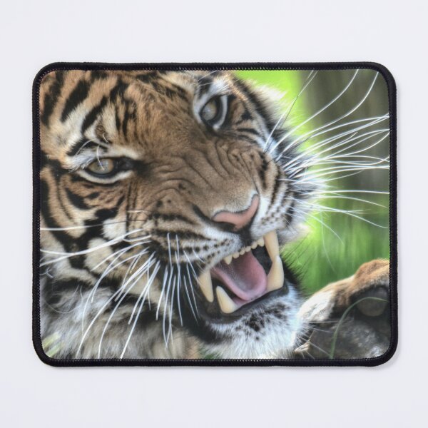 Item preview, Malayan Tiger designed and sold by SusiSu72.