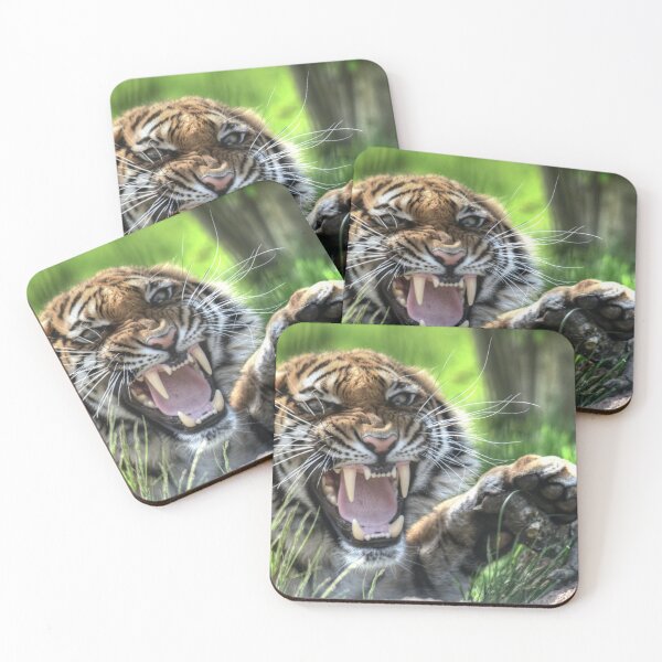 Item preview, Malayan Tiger designed and sold by SusiSu72.