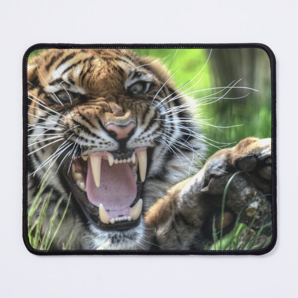 Item preview, Malayan Tiger designed and sold by SusiSu72.