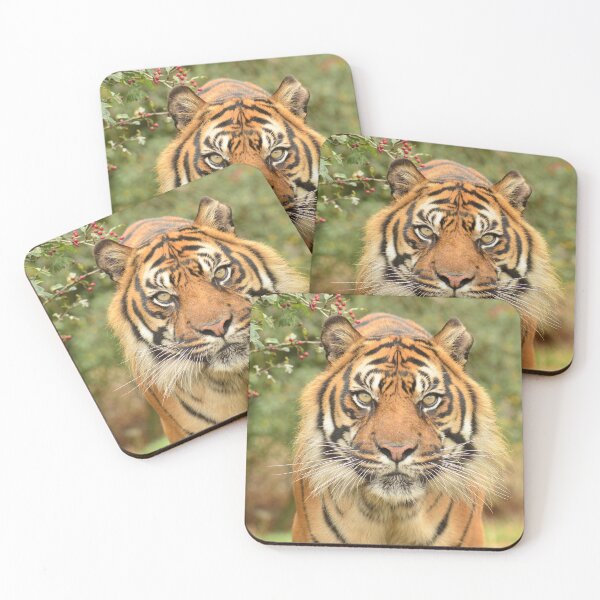 Item preview, Sumatran Tiger - Nias designed and sold by SusiSu72.