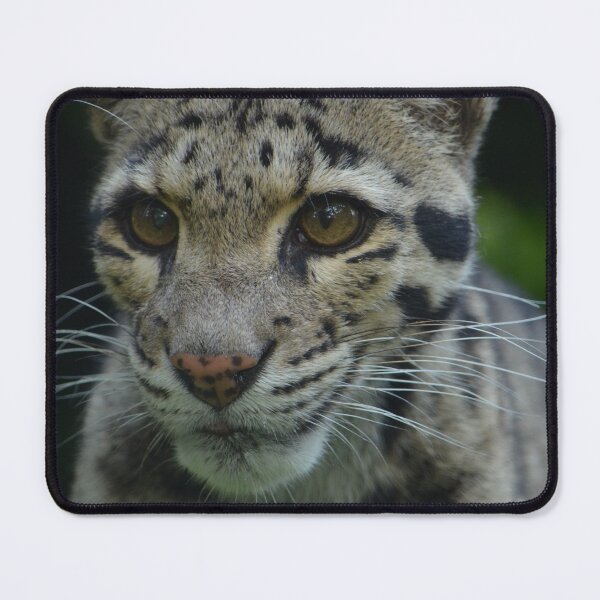 Item preview, Clouded Leopard - Mandalay designed and sold by SusiSu72.
