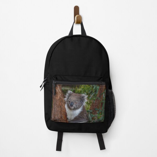 Item preview, Koala Peeking From Behind a Eucalyptus Tree designed and sold by Twisted Light Images.