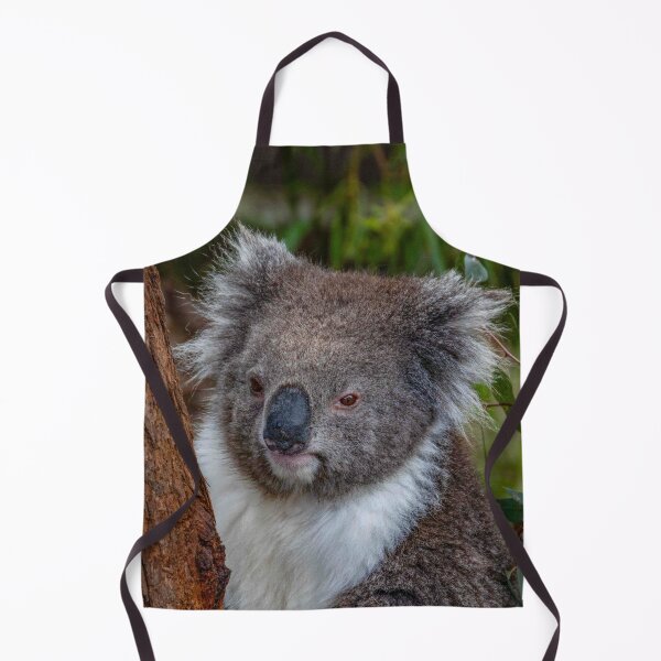 Item preview, Koala Peeking From Behind a Eucalyptus Tree designed and sold by Twisted Light Images.
