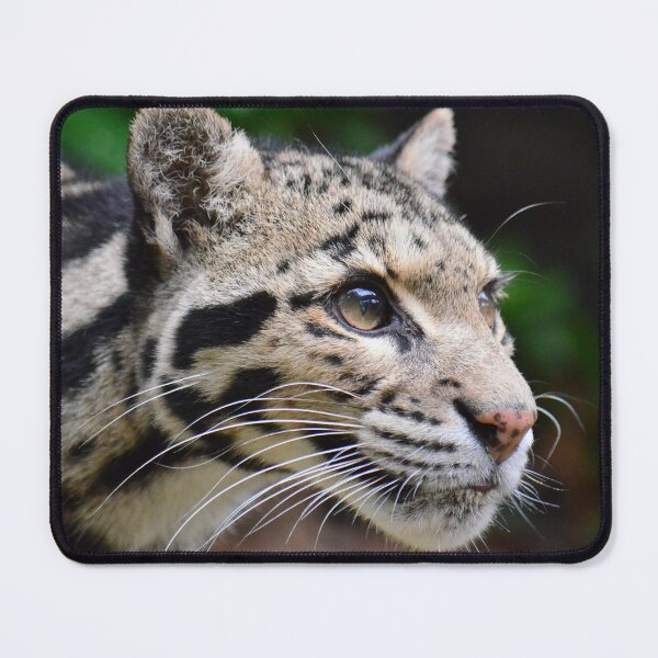 Item preview, Clouded Leopard - Mandalay designed and sold by SusiSu72.
