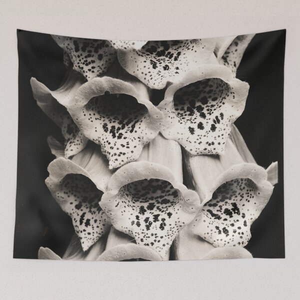 Artikelvorschau, Edward Steichen, Fingerhut, Frankreich, 1925, Gelatinesilberabzug, Schwarzweißfotografie entworfen und verkauft von Astrid Arkhangelsky.