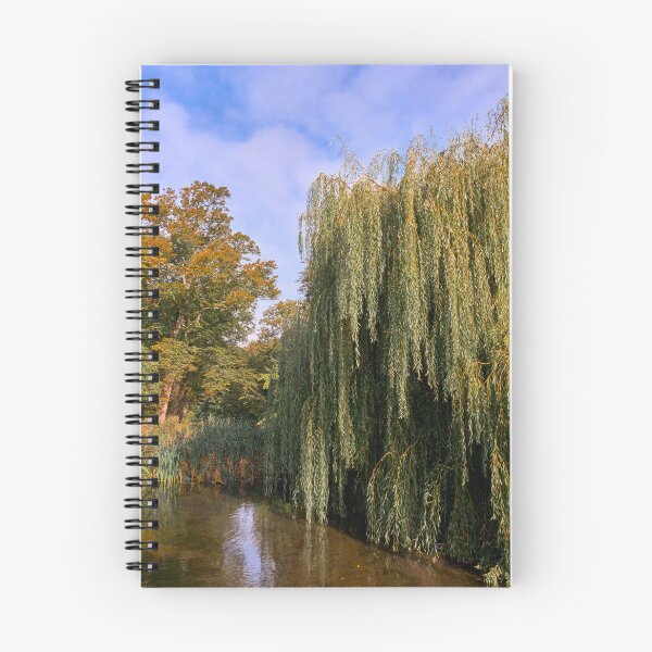 Item preview, Autumn Bute Park Cardiff designed and sold by VnGphoto.