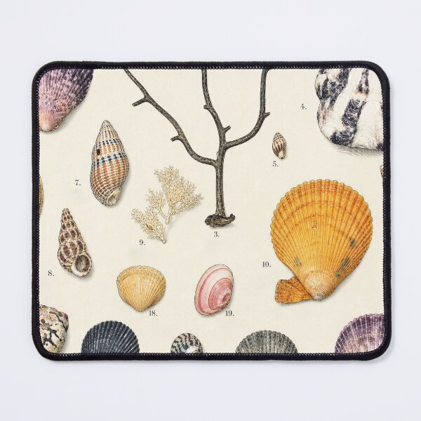 Item preview, Beach finds designed and sold by Dreaming Shell.