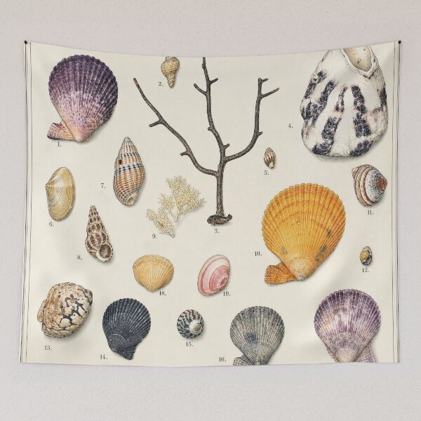 Item preview, Beach finds designed and sold by Dreaming Shell.