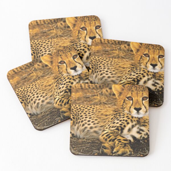 Item preview, Golden Cheetah designed and sold by CCWorkfloor.