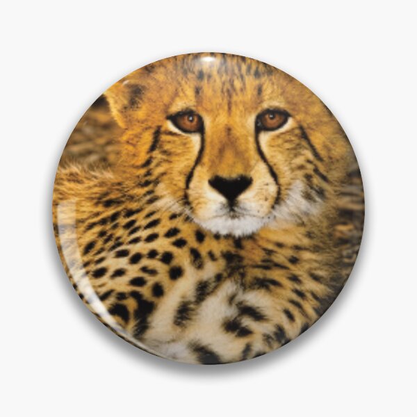 Item preview, Golden Cheetah designed and sold by CCWorkfloor.
