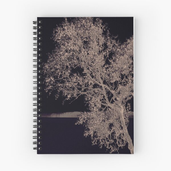 Item preview, Pale Gold Shore Birch – Nordic Tree Study designed and sold by SulkaCreative.