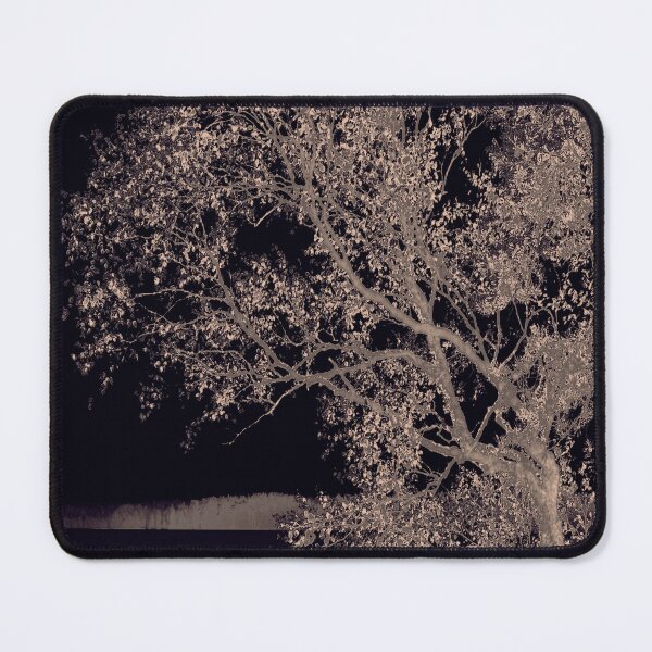 Item preview, Pale Gold Shore Birch – Nordic Tree Study designed and sold by SulkaCreative.
