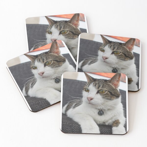 Item preview, Cute Cat Sticker – Adorable Kitty Design designed and sold by ayushidesign.