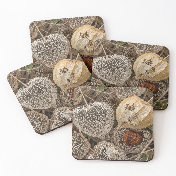 Item preview, Skeletal Chinese Lantern Husks After the Papery Shell Falls designed and sold by ASSEMBLE WONDER.