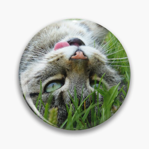 Item preview, Frazzled Cat designed and sold by Paw-rora.