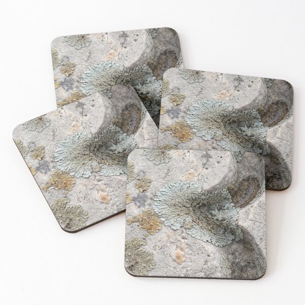 Item preview, Lichen Growing Through the Grooves of Carved Stone designed and sold by ASSEMBLE WONDER.