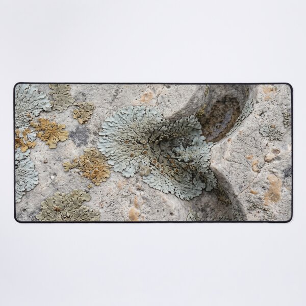 Item preview, Lichen Growing Through the Grooves of Carved Stone designed and sold by ASSEMBLE WONDER.