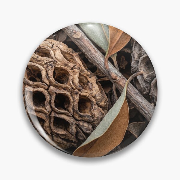 Item preview, Dried Magnolia Seed Cones with Empty Pockets designed and sold by ASSEMBLE WONDER.