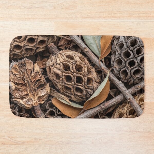 Item preview, Dried Magnolia Seed Cones with Empty Pockets designed and sold by ASSEMBLE WONDER.