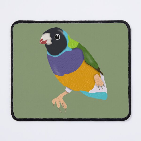 Item preview, Black Headed Gouldian Finch designed and sold by BDBirds.