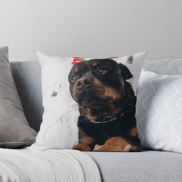 Artikelvorschau, Lustiger Rottweiler mit Rentiergeweih entworfen und verkauft von VanGaldo.