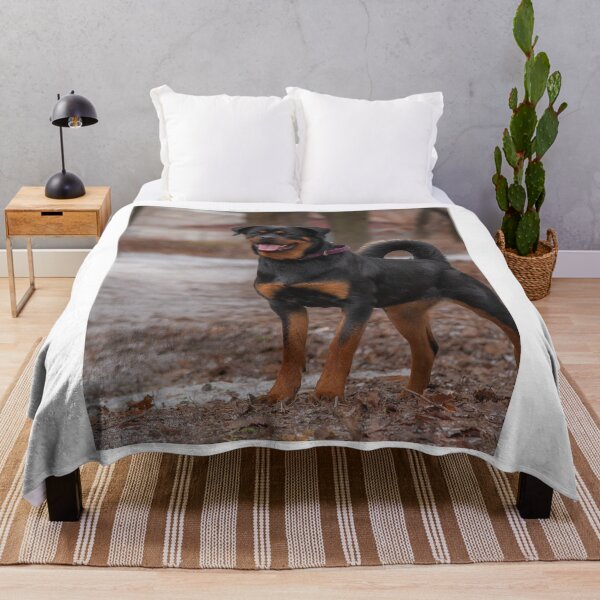 Artikelvorschau, Fröhlicher Rottweiler, stehend, Ganzkörperansicht entworfen und verkauft von VanGaldo.
