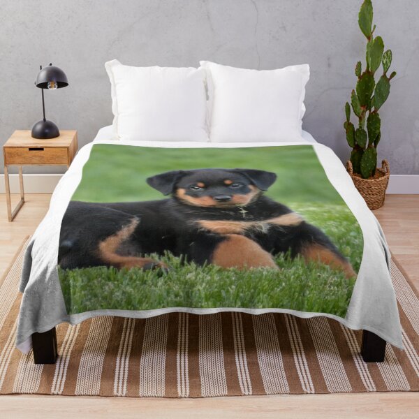 Artikelvorschau, Niedlicher Rottweilerwelpe liegt im Gras entworfen und verkauft von VanGaldo.