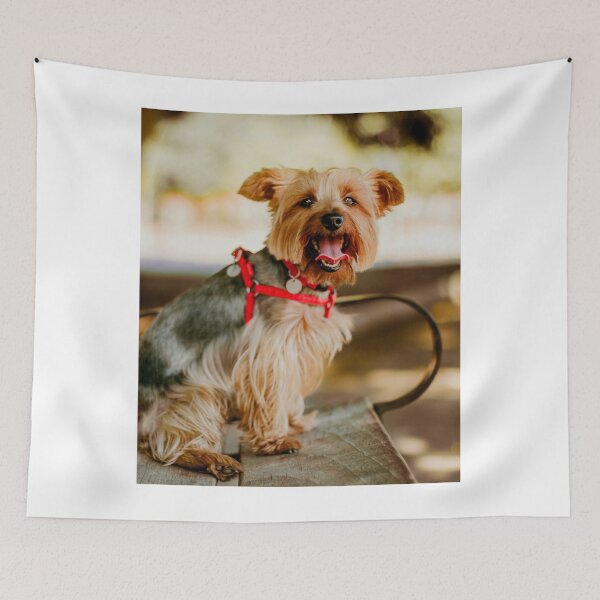 Item preview, Smiling Yorkshire Terrier In Red Harness designed and sold by VanGaldo.