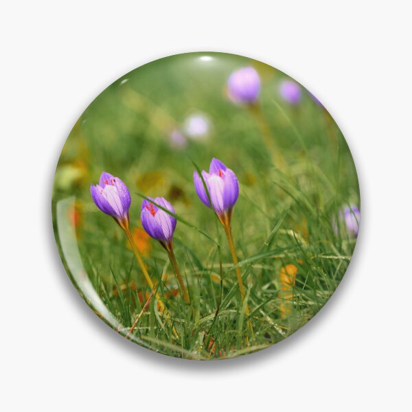 Item preview, Beautiful Autumn Crocus in Cardiff designed and sold by VnGphoto.