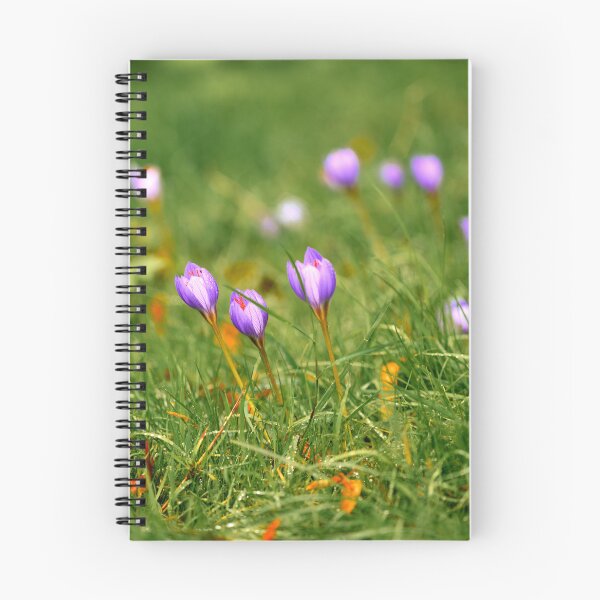 Item preview, Beautiful Autumn Crocus in Cardiff designed and sold by VnGphoto.