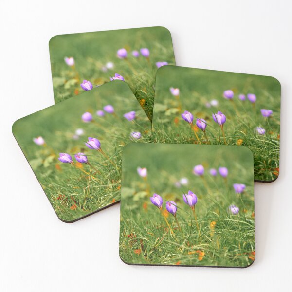 Item preview, Beautiful Autumn Crocus in Cardiff designed and sold by VnGphoto.
