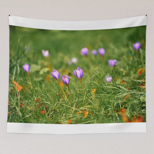 Item preview, Beautiful Autumn Crocus in Cardiff designed and sold by VnGphoto.