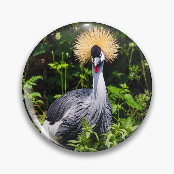 Item preview, Crowned Majesty.  Grey Crowned Crane Amid Lush Green Foliage designed and sold by Astute-Artio-Photography.