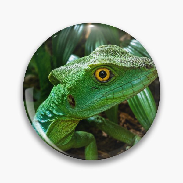 Item preview, Emerald Guardian.  Plumed Basilisk Lizard Amongst Foliage designed and sold by Astute-Artio-Photography.