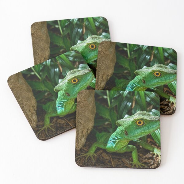 Item preview, Emerald Guardian.  Plumed Basilisk Lizard Amongst Foliage designed and sold by Astute-Artio-Photography.