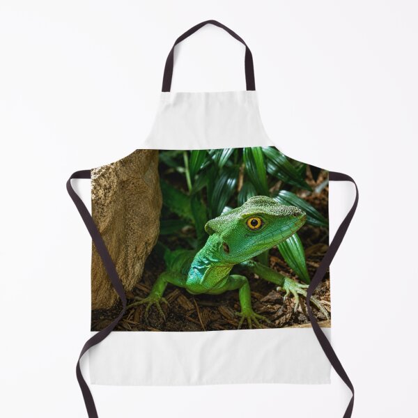 Artikelvorschau, Smaragdwächter. Gefiederter Basilisk im Laubwerk entworfen und verkauft von Astute-Artio-Photography.