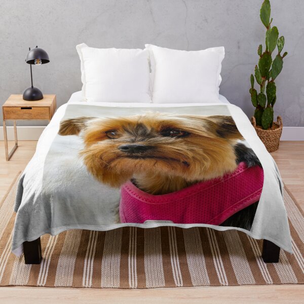 Item preview, Cute Yorkshire Terrier Pink Harness Portrait designed and sold by VanGaldo.