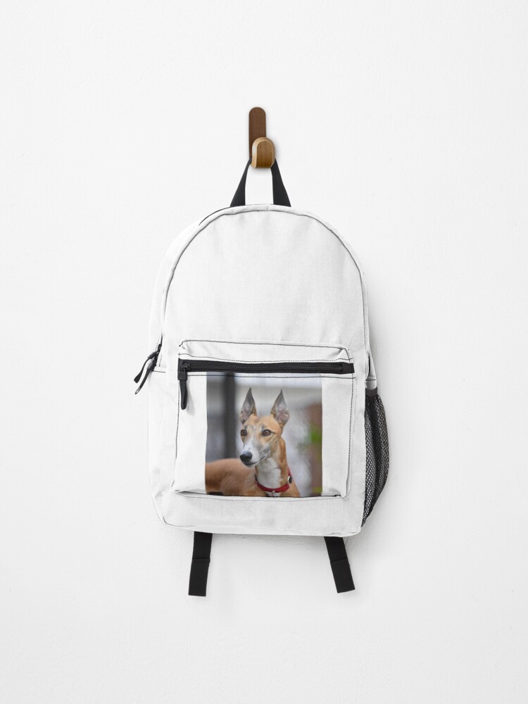 Thumbnail 1 of 3, Backpack, Greyhound Dog Head Shot Close Up designed and sold by VanGaldo.