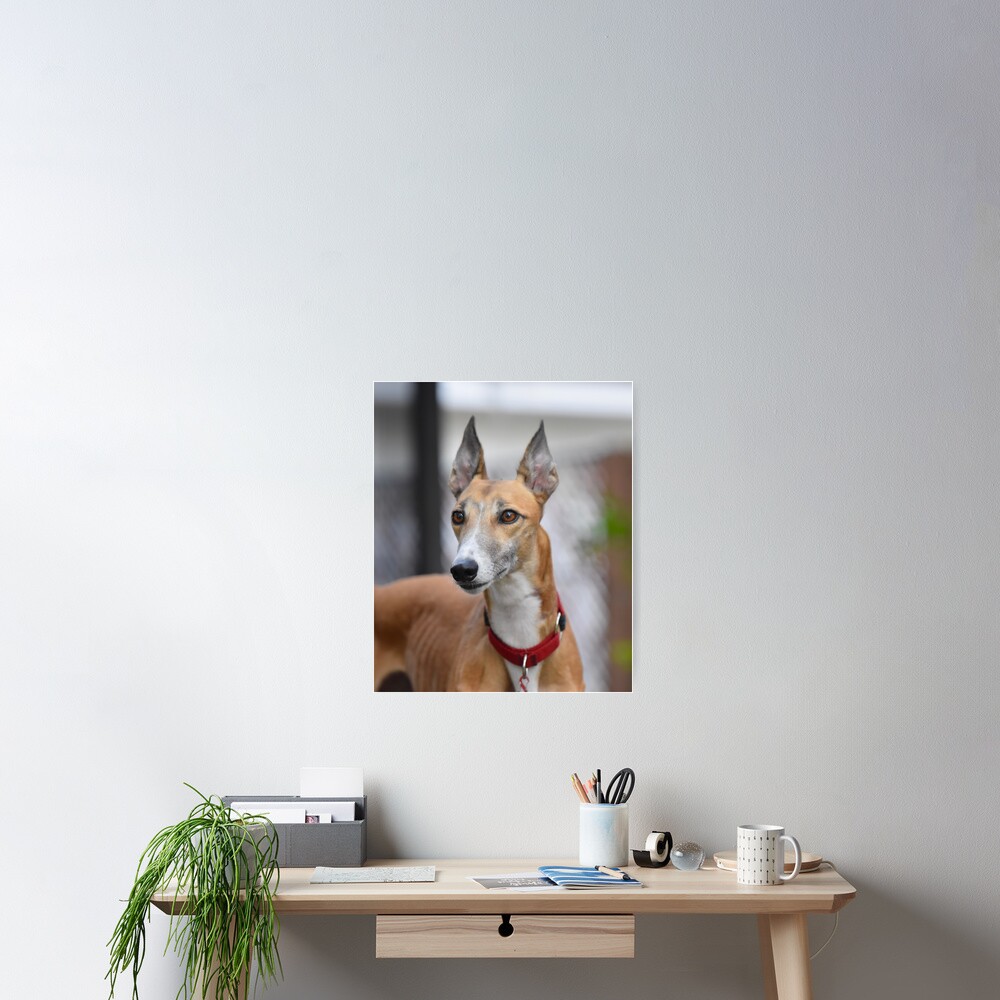 Item preview, Poster designed and sold by VanGaldo.