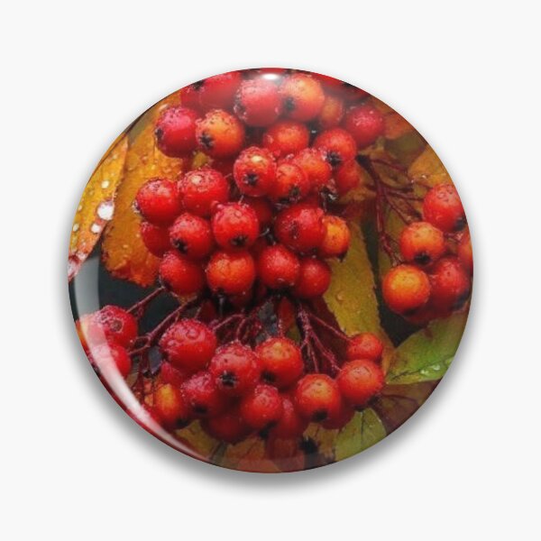 Item preview, Red Rowan Berries in Raindrops — Autumn Harvest Botanical Photography designed and sold by LYAN-STORE.