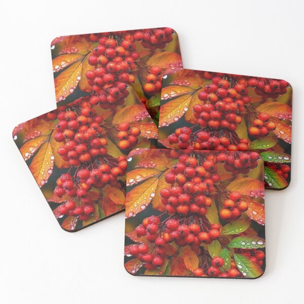 Item preview, Red Rowan Berries in Raindrops — Autumn Harvest Botanical Photography designed and sold by LYAN-STORE.
